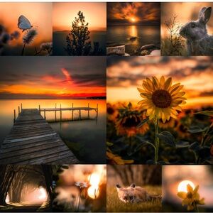 Meet your Posher, Brandie